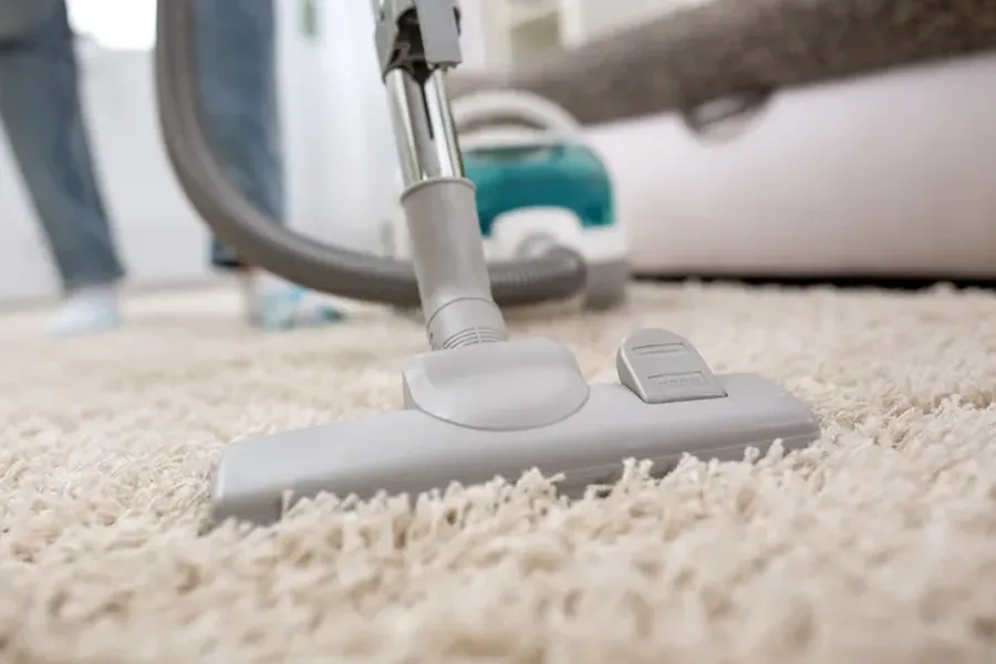 Professional Carpet Cleaning Services Boston, MA Professional Carpet Cleaning Services Boston, MA
