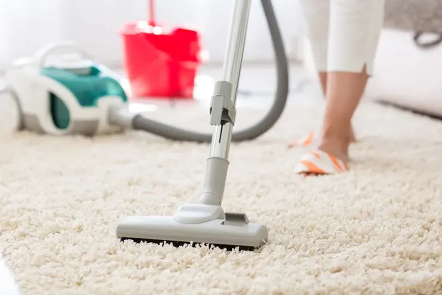 The Benefits Of Professional Carpet Cleaning For Your Home Boston, MA The Benefits Of Professional Carpet Cleaning For Your Home Boston, MA