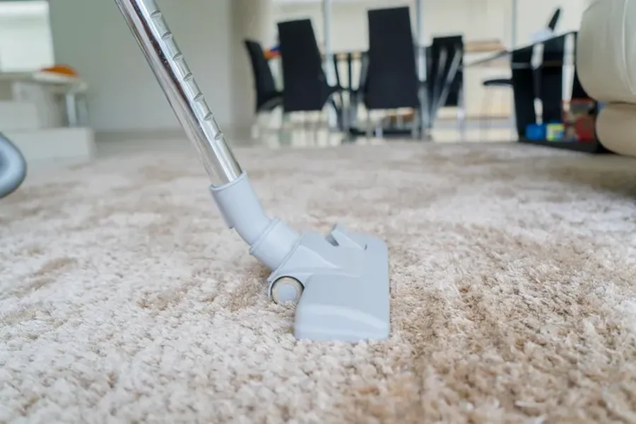 The Benefits Of Professional Carpet Cleaning For Your Home in Boston, MA The Benefits Of Professional Carpet Cleaning For Your Home in Boston, MA